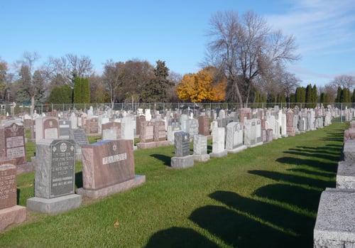 CEM83754_0da1b847-dbb3-442c-a826-97eee7da1cb2