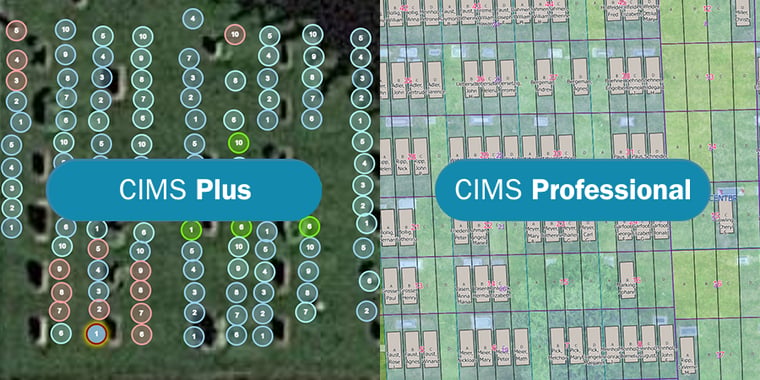 CIMS Plus and Professional Map Comparison
