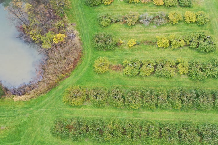 Drone photo of a section at St. Francis Borgia Cemetery